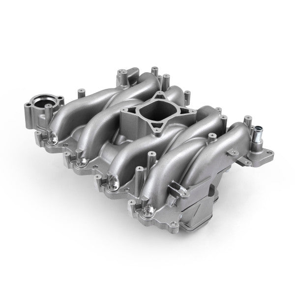 Ford 4.6L 1999–2004 Mustang MidRise EFI-insug, polerat