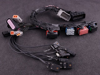 GM Corvette C6 (E38 ECM) MaxxECU PRO Plugin EXTRA