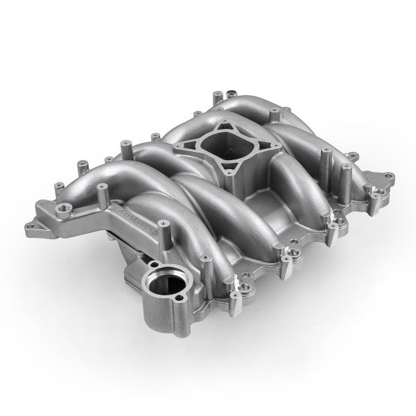 Ford 4.6L 1999–2004 Mustang MidRise EFI-insug, polerat